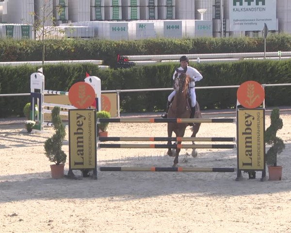 Reitturnier Durmersheim-Hardt 2019