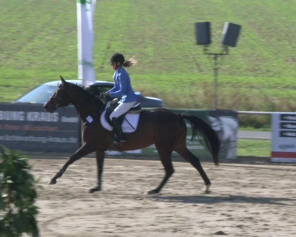 Reitturnier Recklinghausen 2019