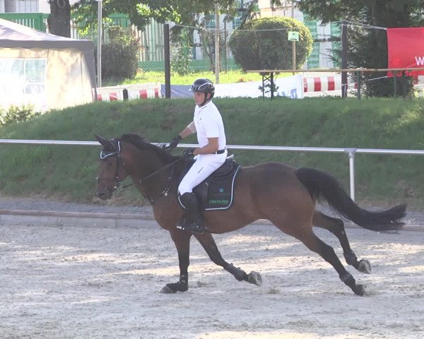 Reitturnier Durmersheim-Hardt 2019