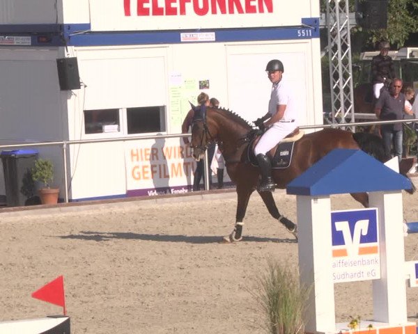 Reitturnier Durmersheim-Hardt 2019