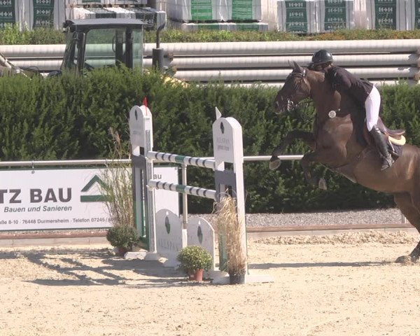 Reitturnier Durmersheim-Hardt 2019