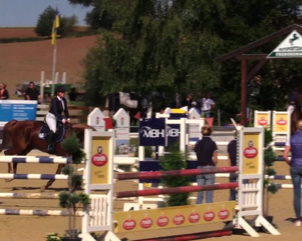 Reitturnier Duderstadt 2019