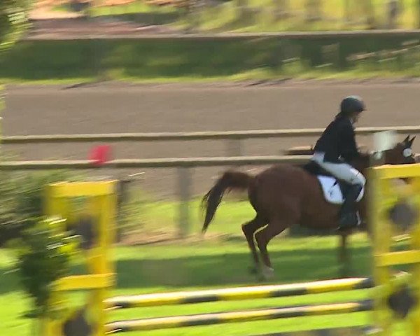 Landesponyturnier Ansbach 2019