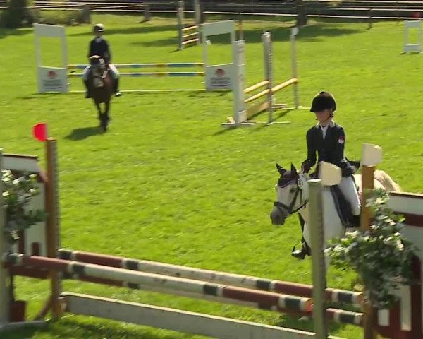 Landesponyturnier Ansbach 2019