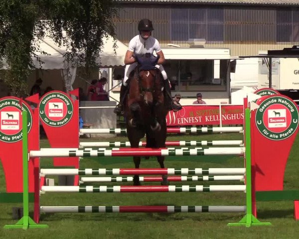 Reitturnier Kellinghusen 2019