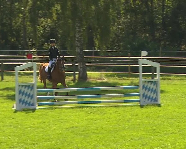 Landesponyturnier Ansbach 2019