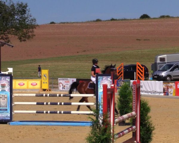 Reitturnier Duderstadt 2019
