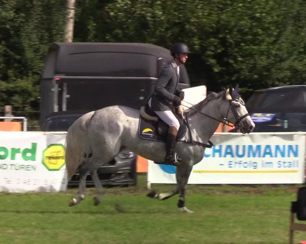 Reitturnier Kellinghusen 2019