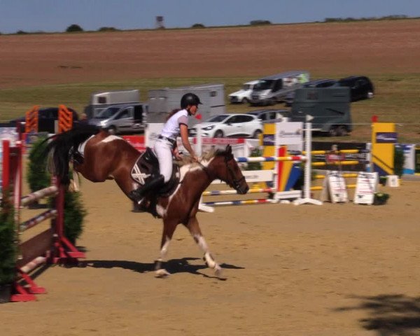 Reitturnier Duderstadt 2019