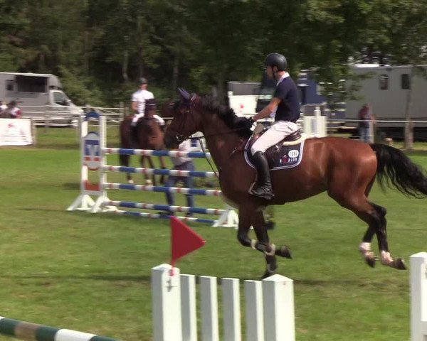 Reitturnier Kellinghusen 2019