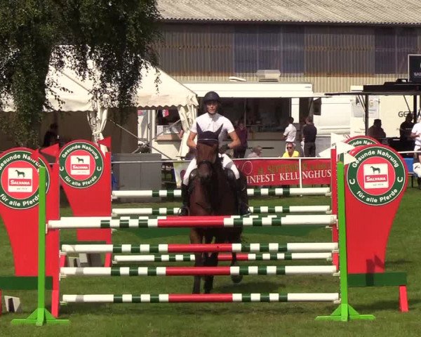 Reitturnier Kellinghusen 2019