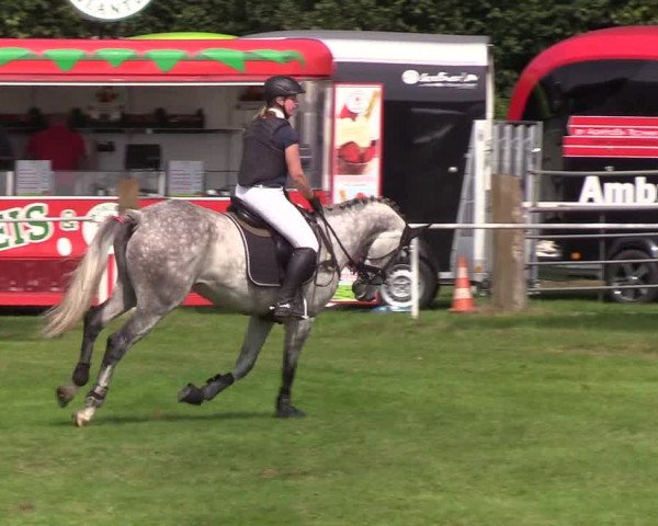 Reitturnier Kellinghusen 2019