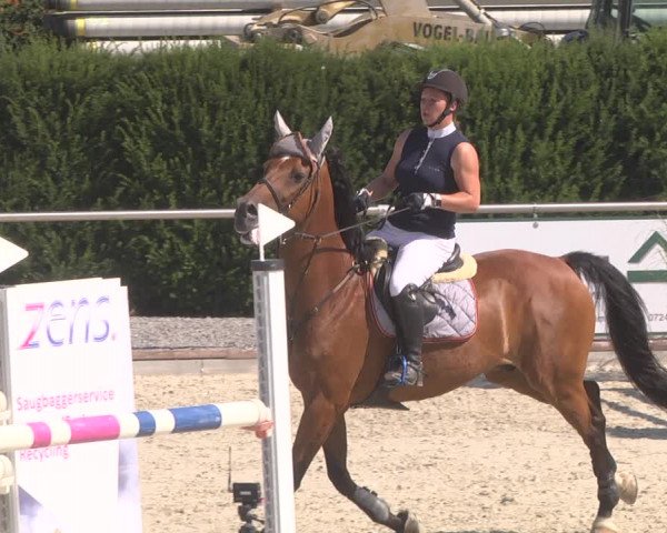 Reitturnier Durmersheim-Hardt 2019