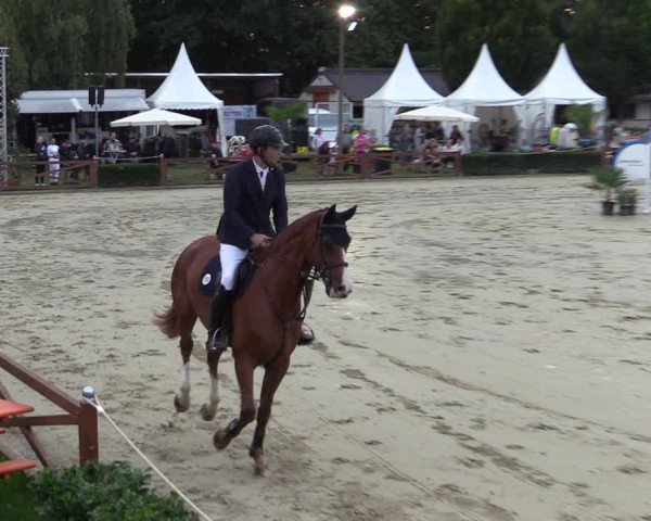 Equus Colonius - Reitanlage Brüse Köln 2021