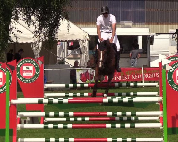 Reitturnier Kellinghusen 2019