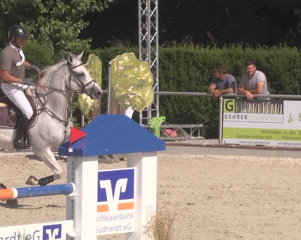 Reitturnier Durmersheim-Hardt 2019