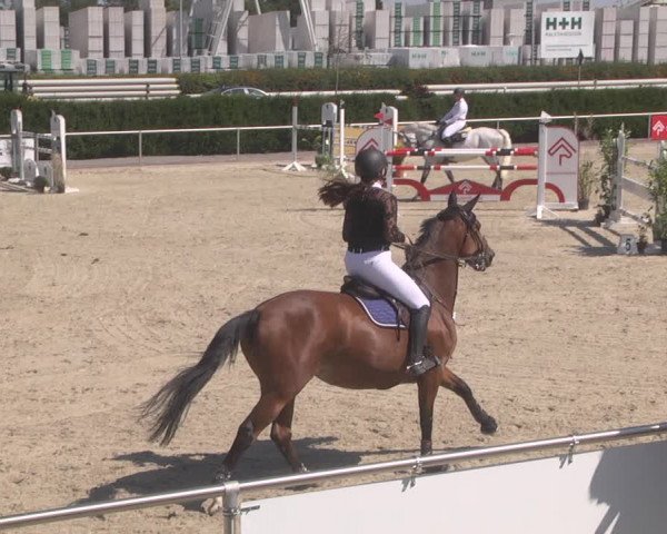 Reitturnier Durmersheim-Hardt 2019