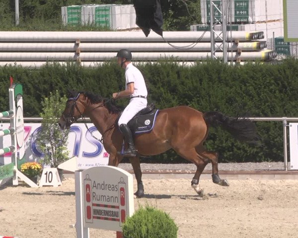 Reitturnier Durmersheim-Hardt 2019