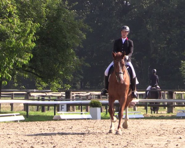 Reitturnier Recklinghausen 2019
