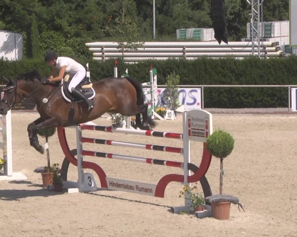 Reitturnier Durmersheim-Hardt 2019