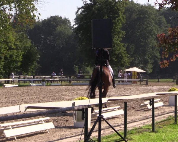 Reitturnier Recklinghausen 2019
