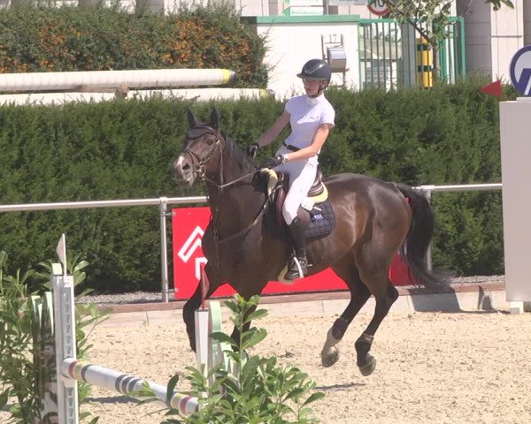 Reitturnier Durmersheim-Hardt 2019