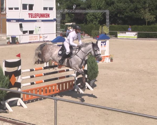 Reitturnier Durmersheim-Hardt 2019