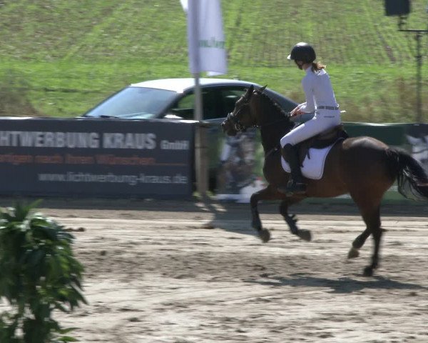 Reitturnier Recklinghausen 2019