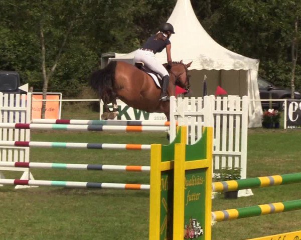Reitturnier Kellinghusen 2019