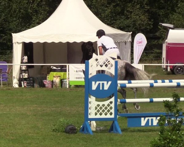 Reitturnier Kellinghusen 2019