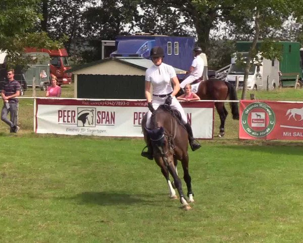 Reitturnier Kellinghusen 2019