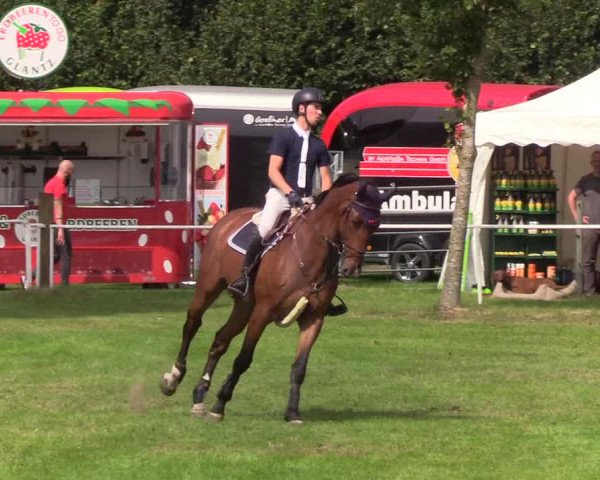 Reitturnier Kellinghusen 2019