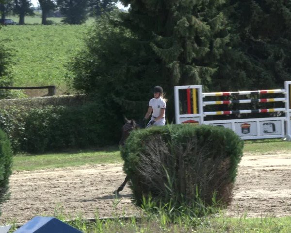 Reitturnier Recklinghausen 2019