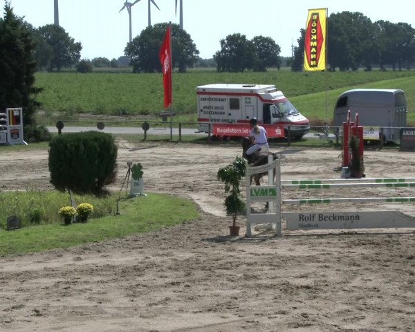 Reitturnier Recklinghausen 2019