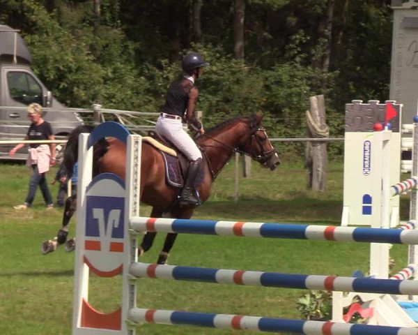 Reitturnier Kellinghusen 2019
