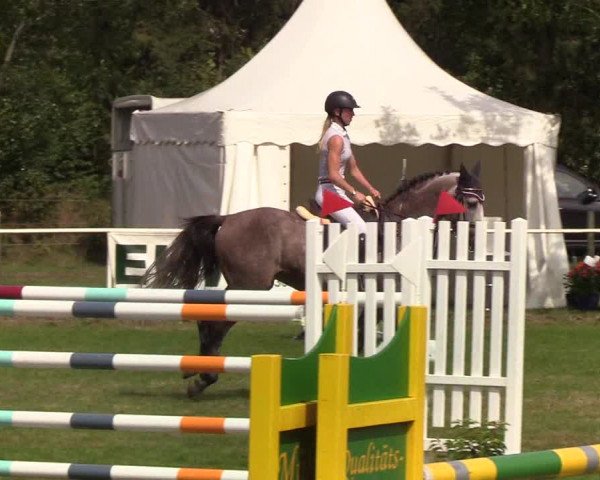 Reitturnier Kellinghusen 2019