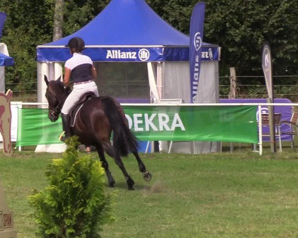 Reitturnier Kellinghusen 2019