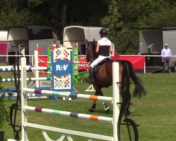 Reitturnier Kellinghusen 2019