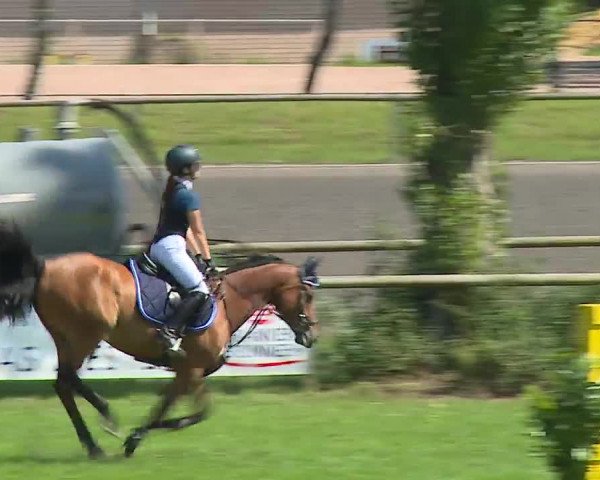 Landesponyturnier Ansbach 2019