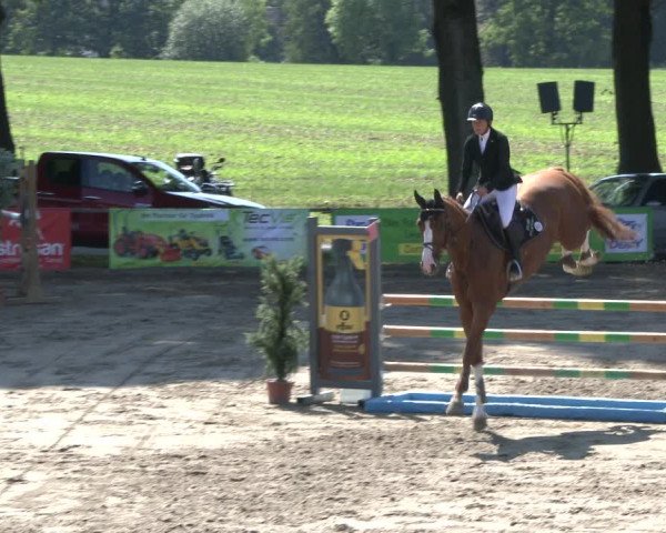 Reitturnier Recklinghausen 2019