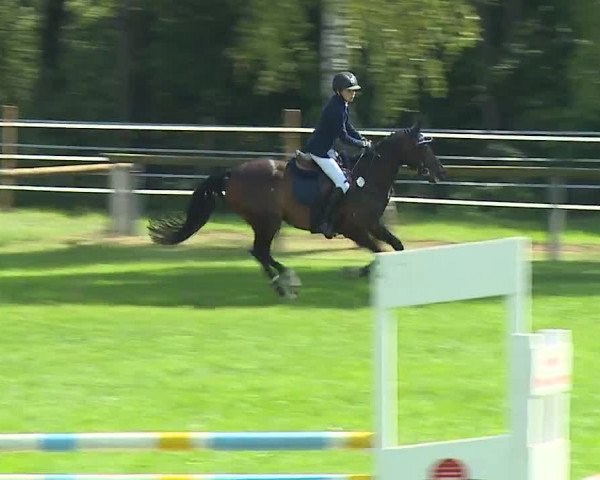 Landesponyturnier Ansbach 2019