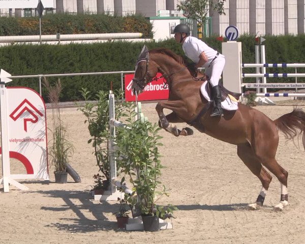 Reitturnier Durmersheim-Hardt 2019
