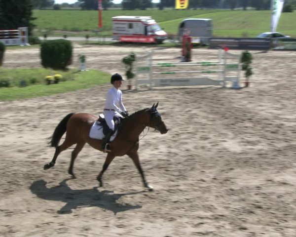 Reitturnier Recklinghausen 2019