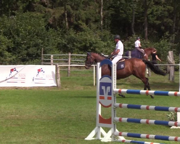 Reitturnier Kellinghusen 2019