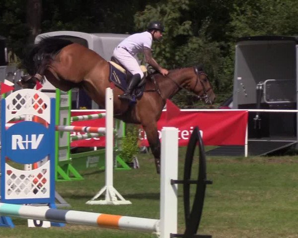 Reitturnier Kellinghusen 2019