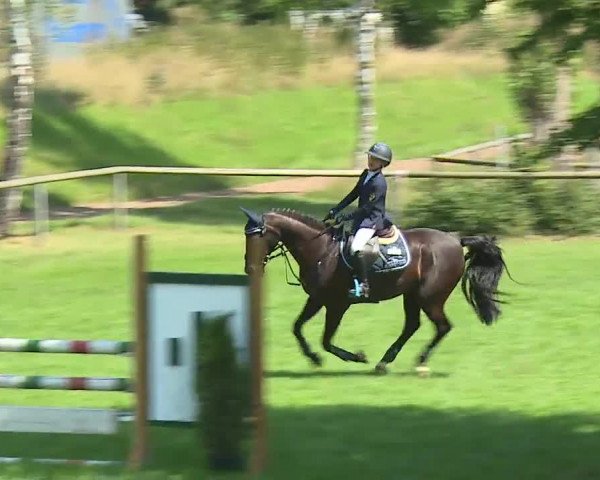 Landesponyturnier Ansbach 2019