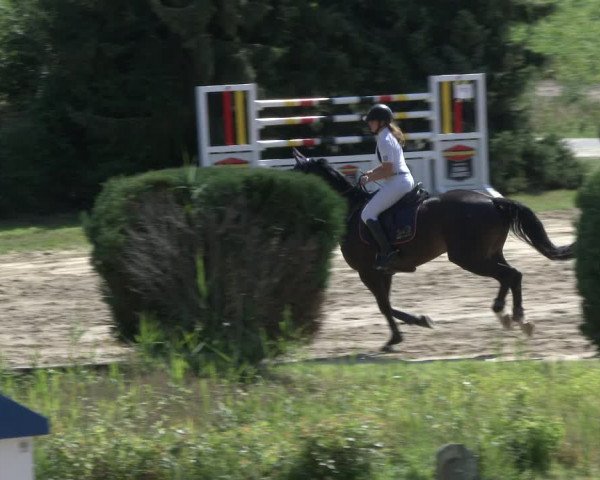 Reitturnier Recklinghausen 2019