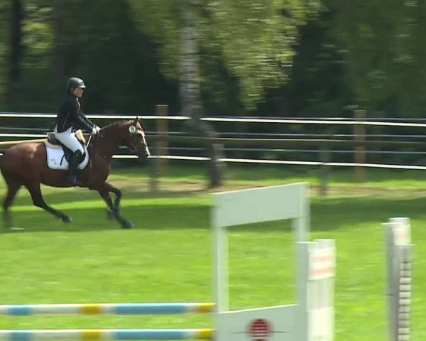 Landesponyturnier Ansbach 2019