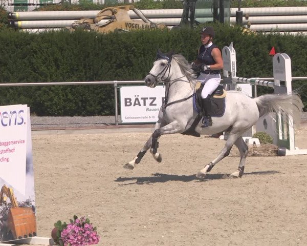 Reitturnier Durmersheim-Hardt 2019