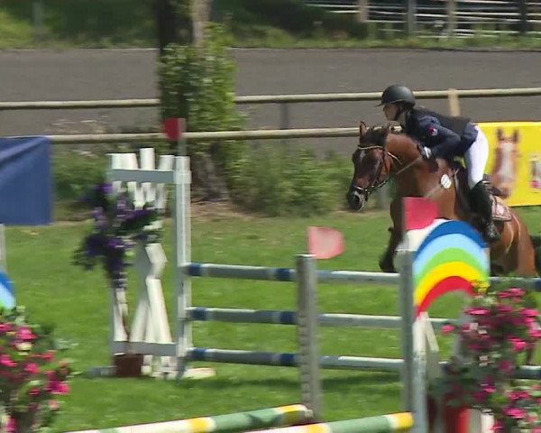 Landesponyturnier Ansbach 2019